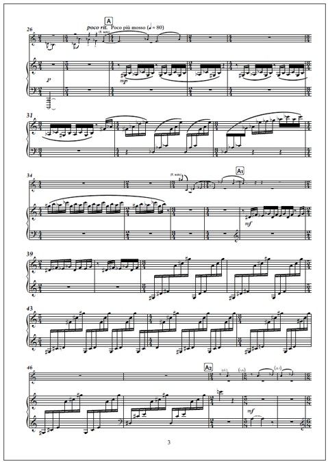 Double concerto for flute, harp and orchestra - Solo parts