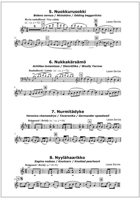 N-sarja (N Suite) for alto saxophone and piano