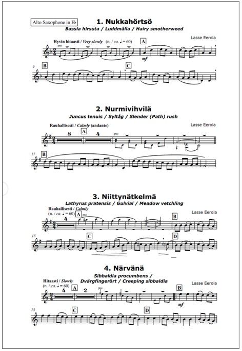 N-sarja (N Suite) for alto saxophone and piano